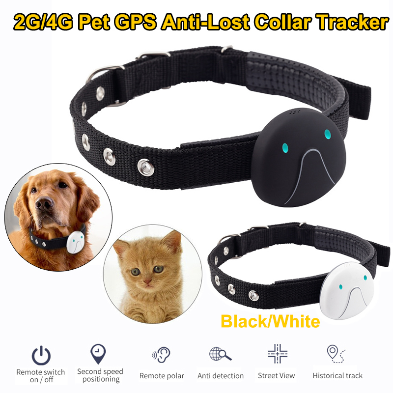 2G/4G Pet GPS Anti Lost Tracke - Pet Gps Tracker Collar avis et prix
