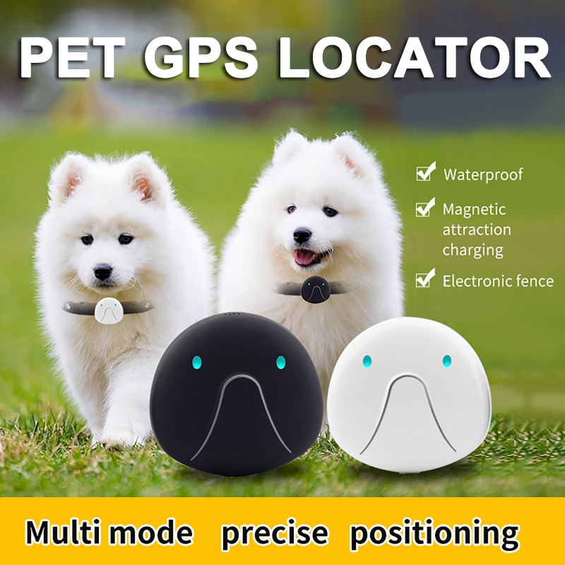 2G/4G Pet GPS Anti Lost Tracke - Pet Gps Tracker Collar avis et prix