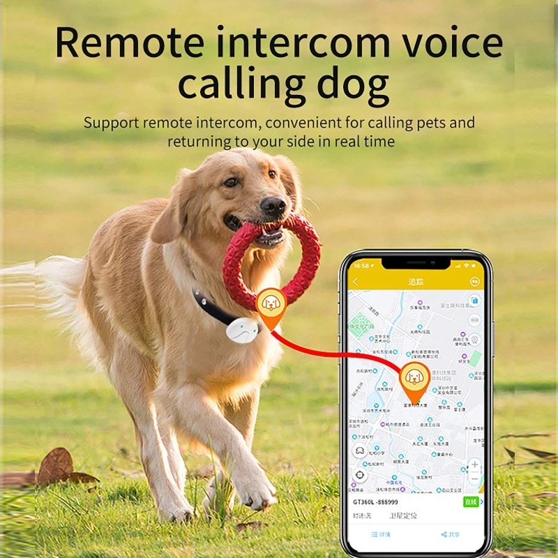 2G/4G Pet GPS Anti Lost Tracke - Pet Gps Tracker Collar avis et prix