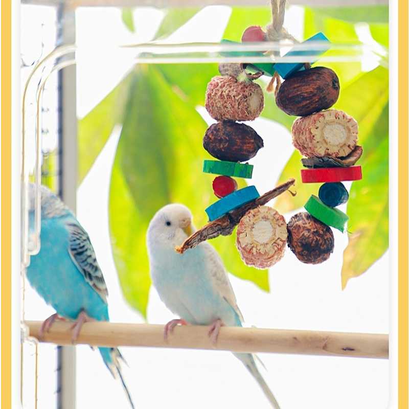Bird Parrot Chewing Toy Natura - Pet Supplies Login avis et prix