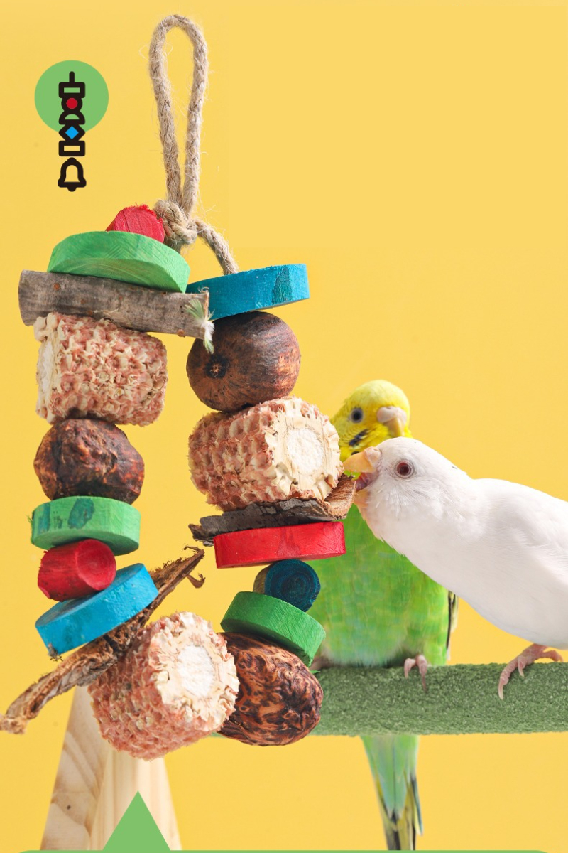Bird Parrot Chewing Toy Natura - Pet Supplies Login avis et prix