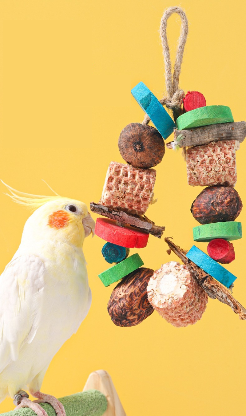 Bird Parrot Chewing Toy Natura - Pet Supplies Login avis et prix