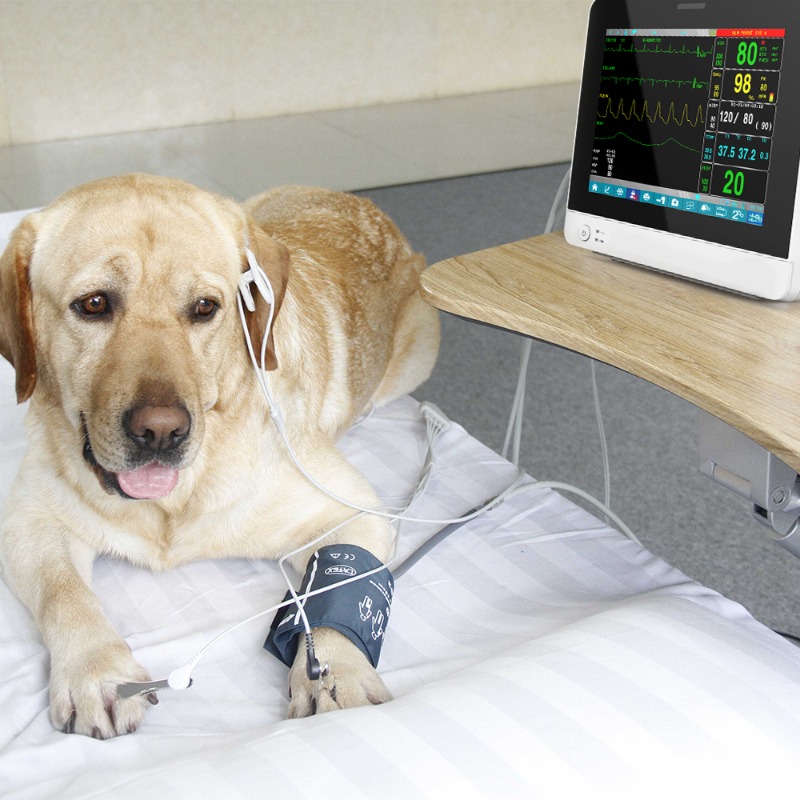 Veterinary Pet Touch Screen Po - Pet Supplies Vet avis et prix